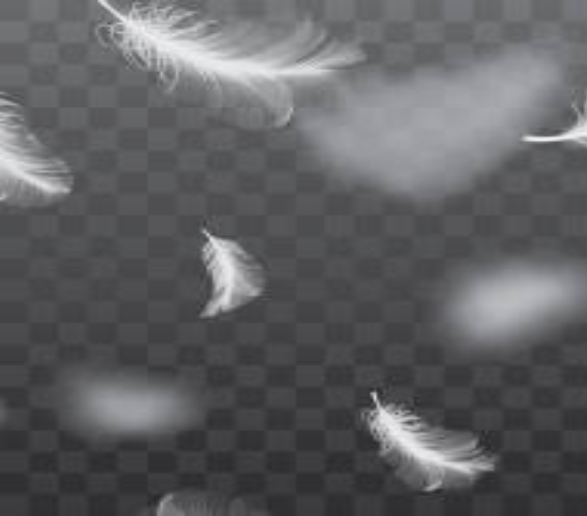 Atelier de Yoga nidra